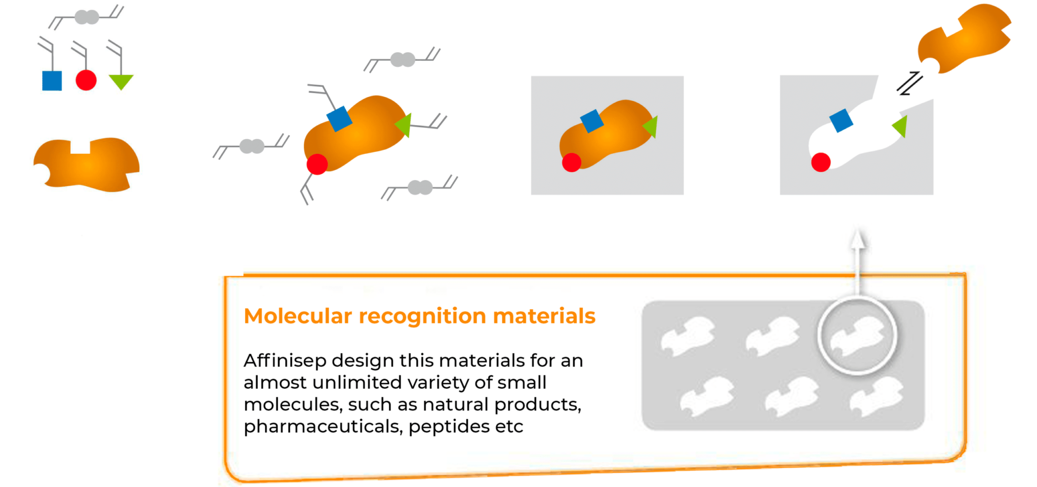 Molecularly Imprinted Polymers Affinisep 6507